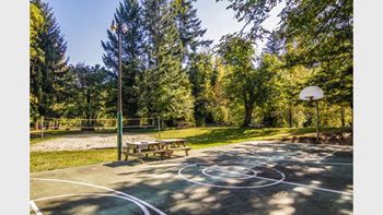 Commons at Avalon Park in Tigard Basketball Court
